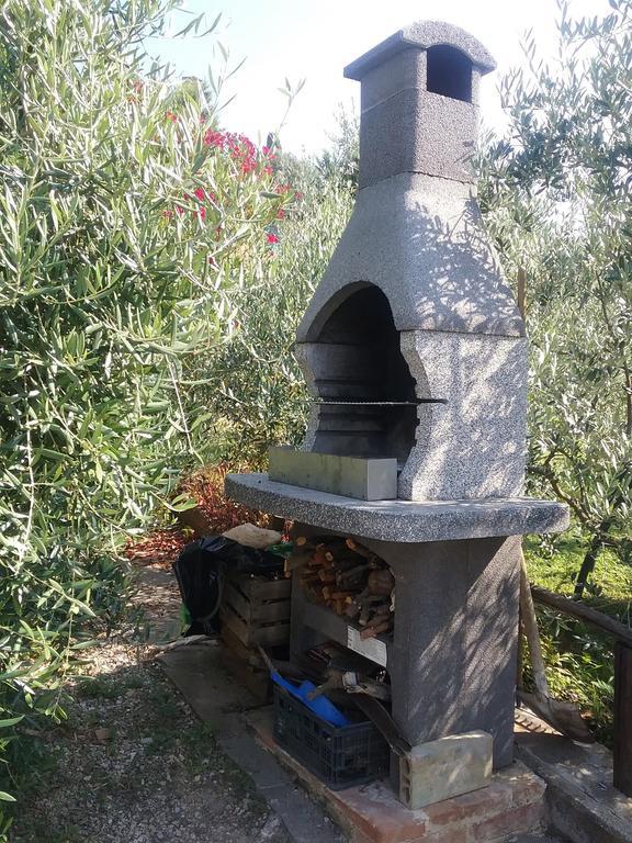 Casa Vacanze L'Oliveta Siena Dış mekan fotoğraf