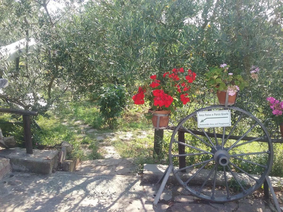 Casa Vacanze L'Oliveta Siena Dış mekan fotoğraf
