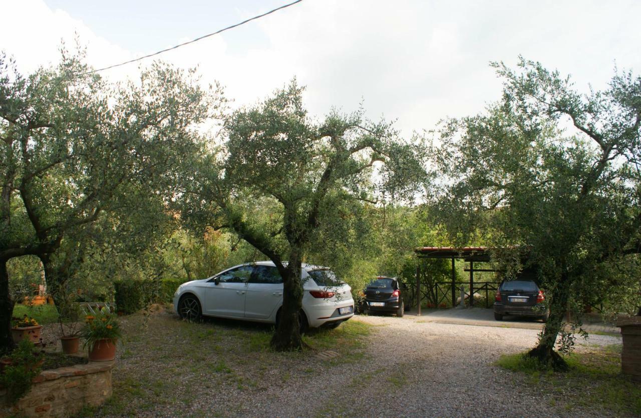 Casa Vacanze L'Oliveta Siena Dış mekan fotoğraf